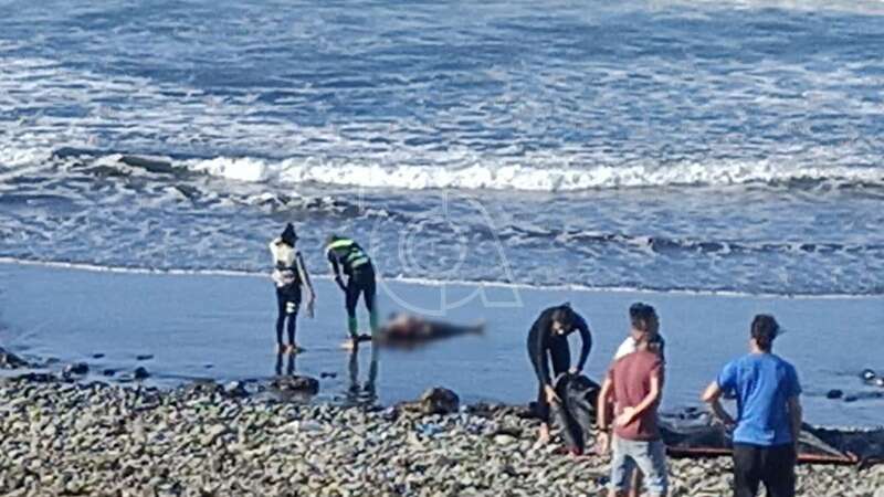 El cuerpo fue hallado en la playa de Media Luna, también conocida como de La Restinga/TA.